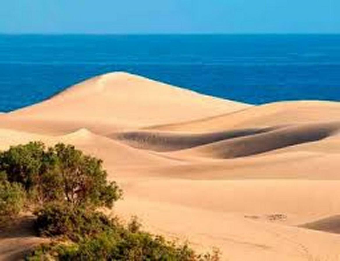 Bungalow Dunas&Sea Maspalomas Maspalomas  Dış mekan fotoğraf